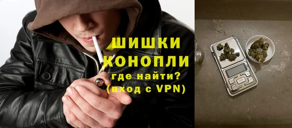мдпв Ладушкин