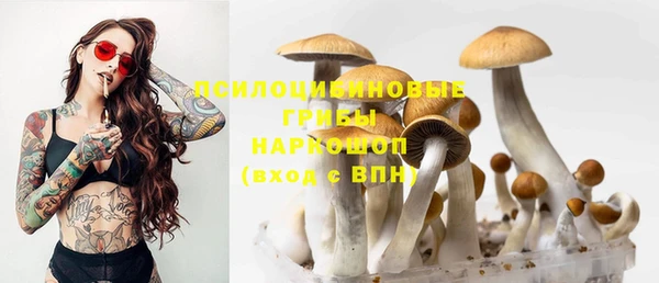 герыч Куйбышев