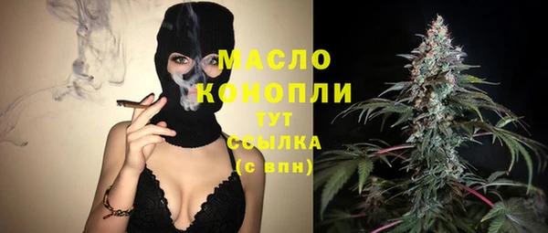 мдпв Ладушкин