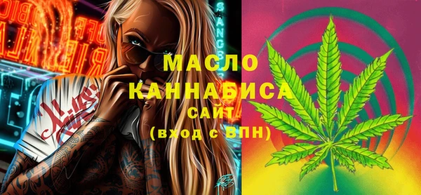 мдпв Ладушкин