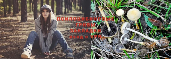 герыч Куйбышев