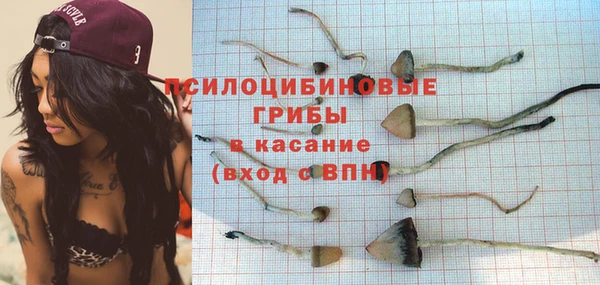 герыч Куйбышев