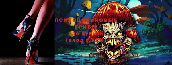 мдпв Тольятти