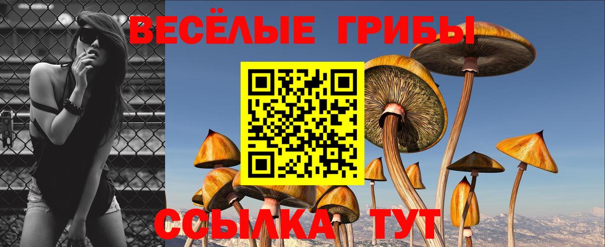 Псилоцибиновые грибы Cubensis  Вход с VPN  Владикавказ 